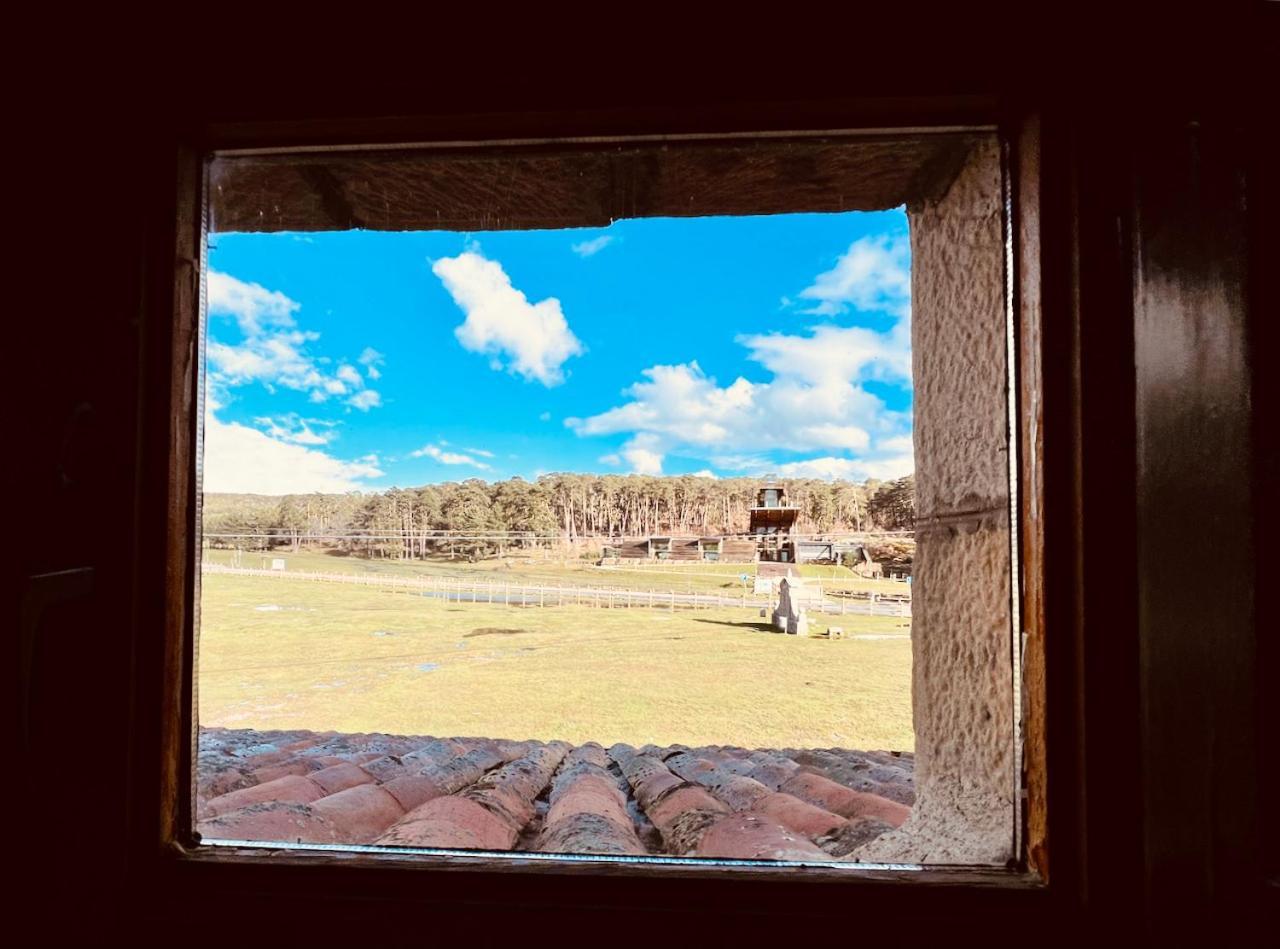 Albergue Pinares - La Casona De Revenga Regumiel de la Sierra Exteriör bild
